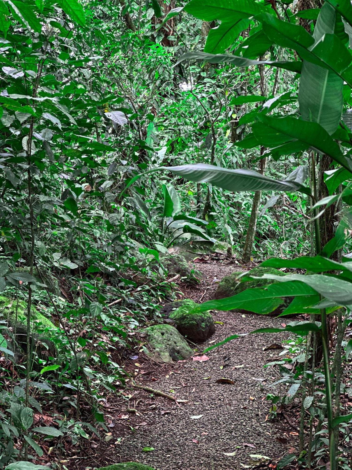 Cabanas Rio Escondido En La Fortuna Εξωτερικό φωτογραφία