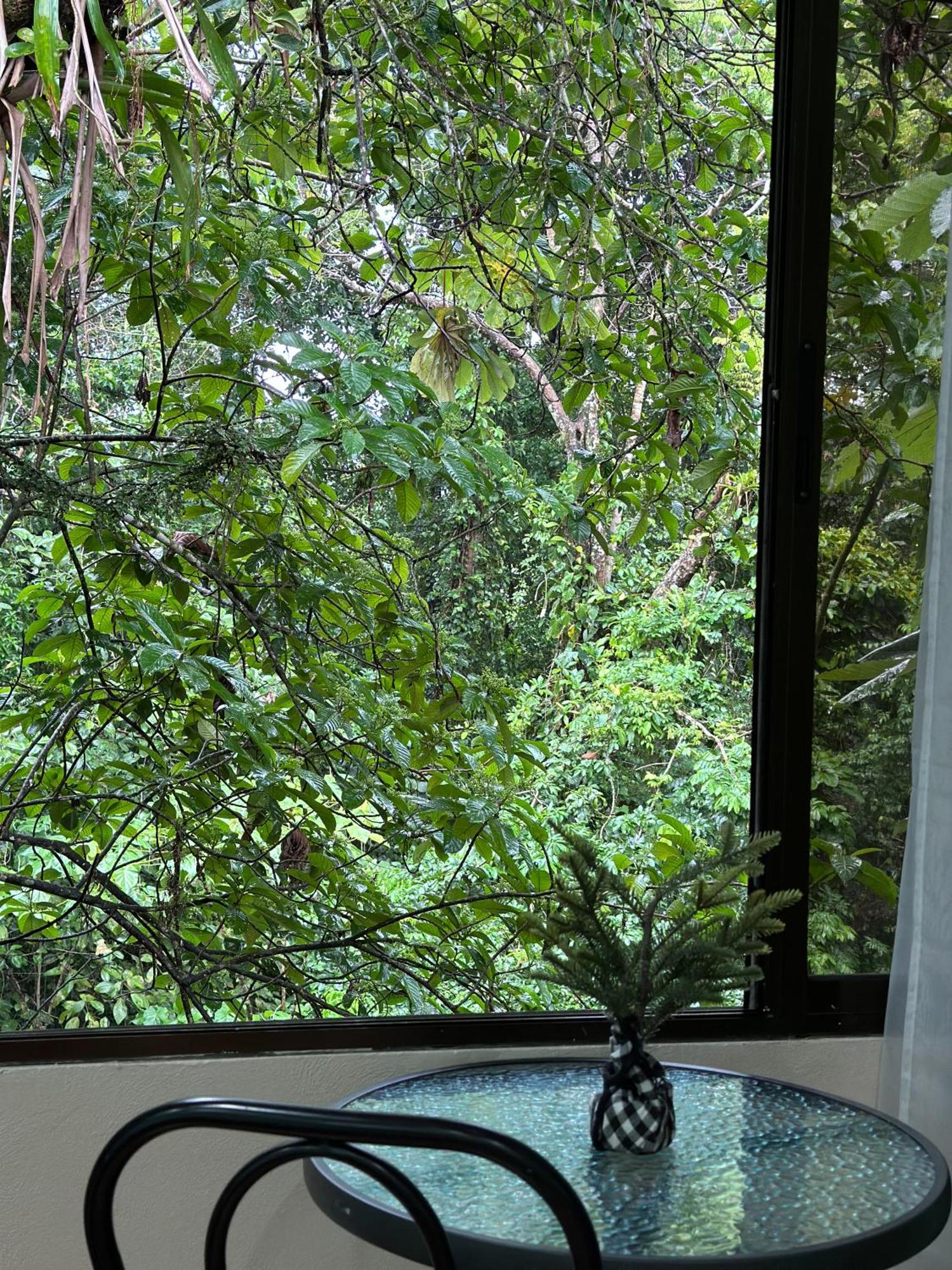 Cabanas Rio Escondido En La Fortuna Εξωτερικό φωτογραφία